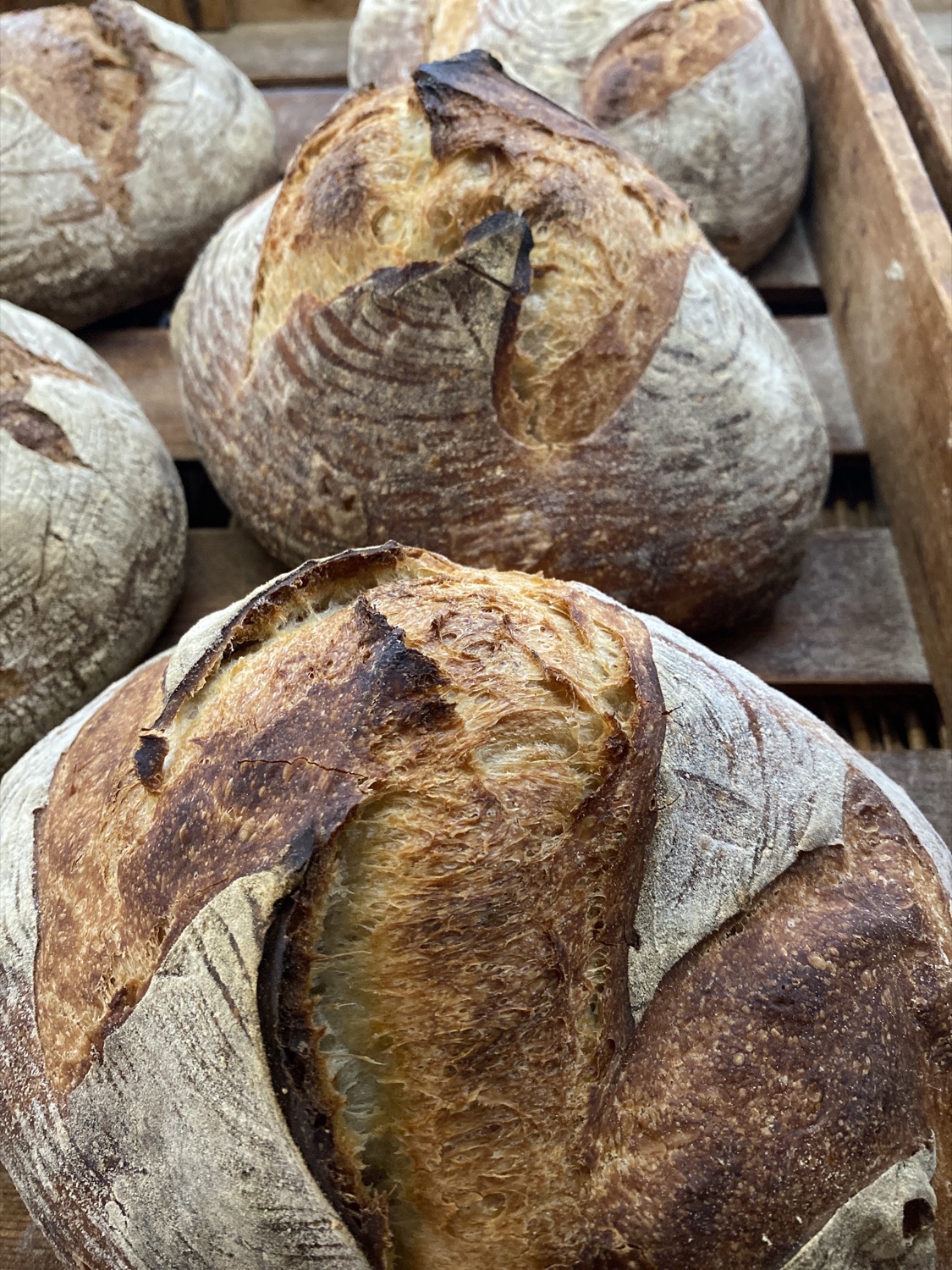 Freshly baked round sourdough loaves with deep golden, blistered and scored crusts, cooling in a wooden crate at Wapping Sourdough